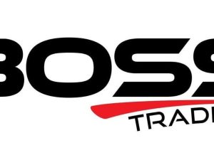 The Boss ICT Style (ICT Concepts)