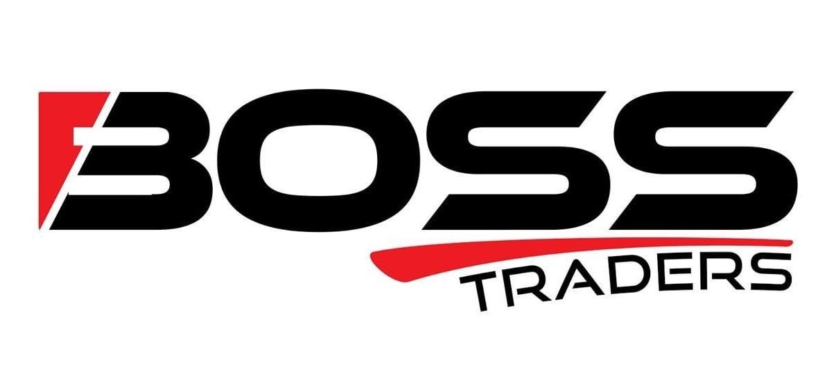 The Boss ICT Style (ICT Concepts)