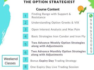 The Option Strategist Advance Strategies Workshop
