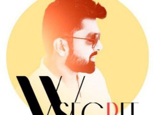 Options Course by Wealth Secret