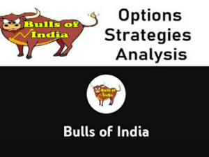 Bulls of India Premium Option Course