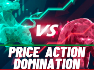 Price Action Domination Course By Sunny Jain