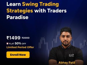Traders Paradise - Swing Trading Strategies