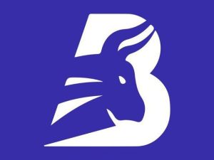 Bullscout – 2 Days Option Buying Course New Batch