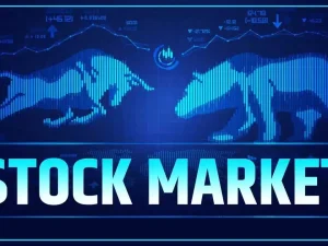 VIVEK BINDRA STOCK MARKET COURSE