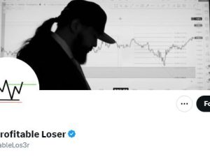 The Profitable Loser Course