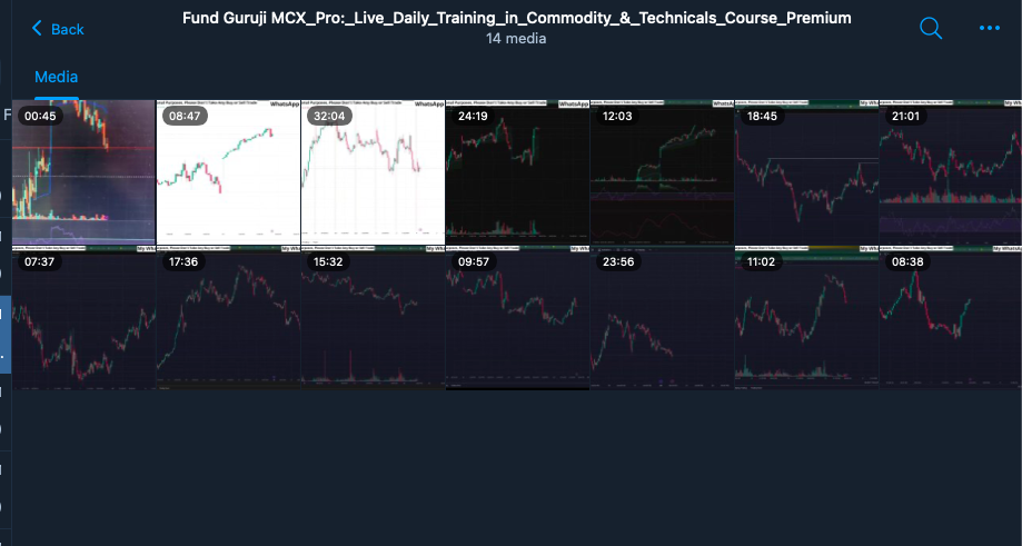Fund Guruji Course Commodity MCX Pro Course Daily Live Training in Commodity & Technicals 3 Screenshot 2025 08 11 at 4.09.33 PM